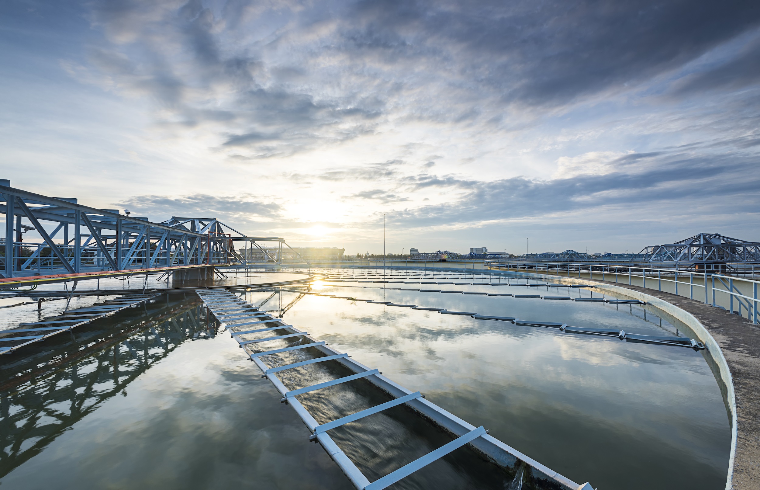 Nature, water and environmental protection since 1989