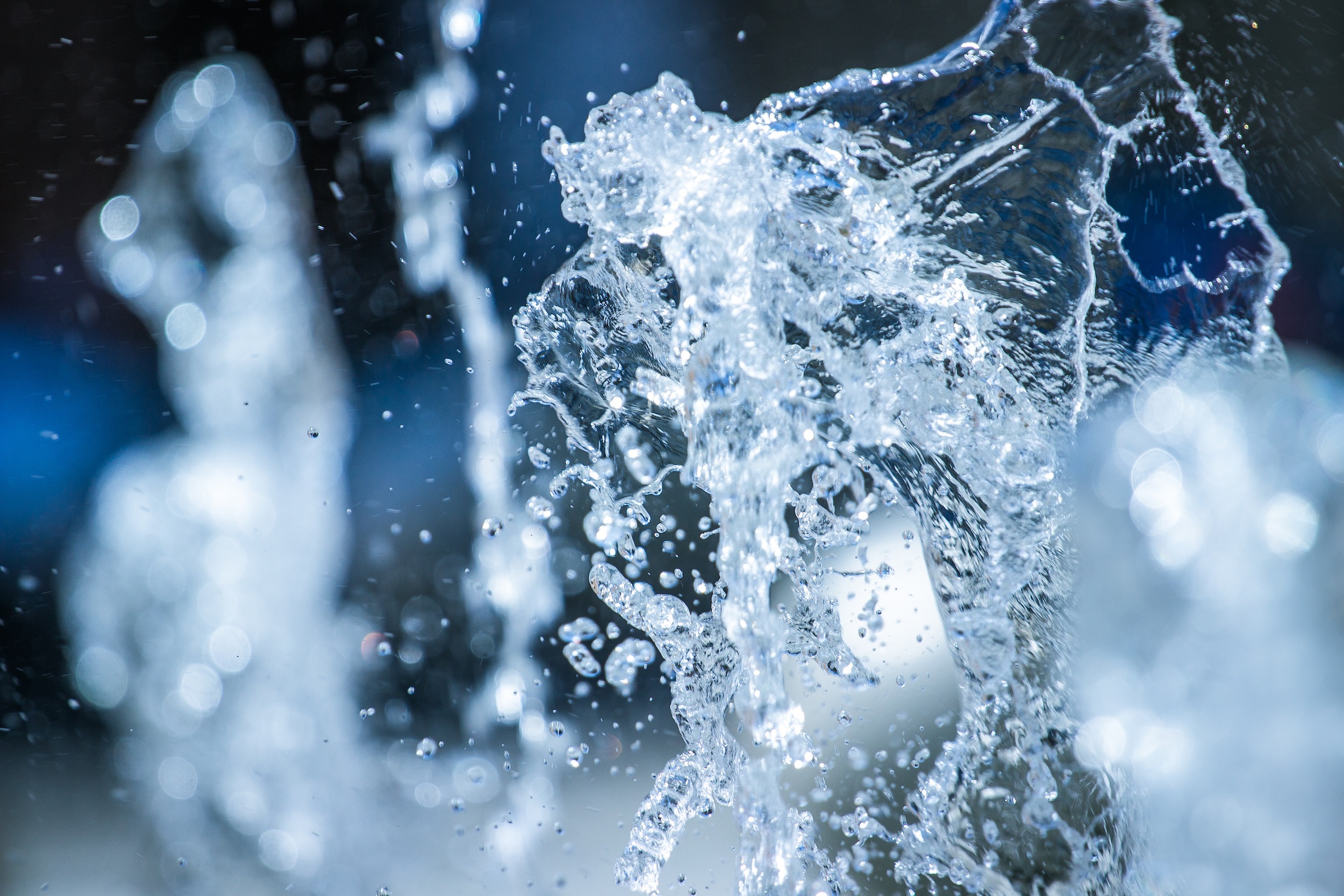 Nature, water and environmental protection since 1989