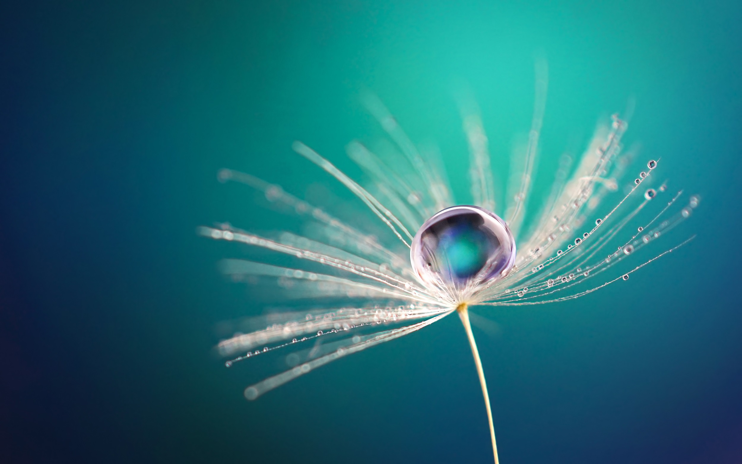 Nature, water and environmental protection since 1989
